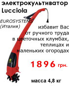 ������������������ Lucciolla �������� ������